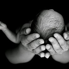 Схема вышивки «Новая жизнь»