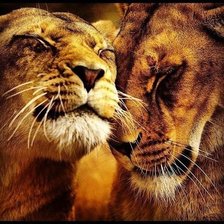 Схема вышивки «Львы»