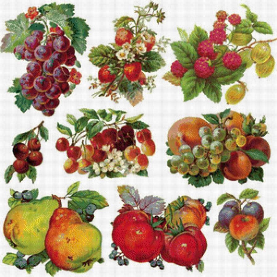 фрукты на салфетки или скатерть - скатерть, кухня, фрукты, салфетки - предпросмотр