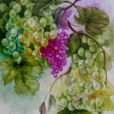 Схема вышивки «гроздь винограда»