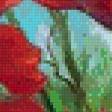 Предпросмотр схемы вышивки «маки маки» (№465248)