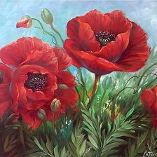 Схема вышивки «маки маки»