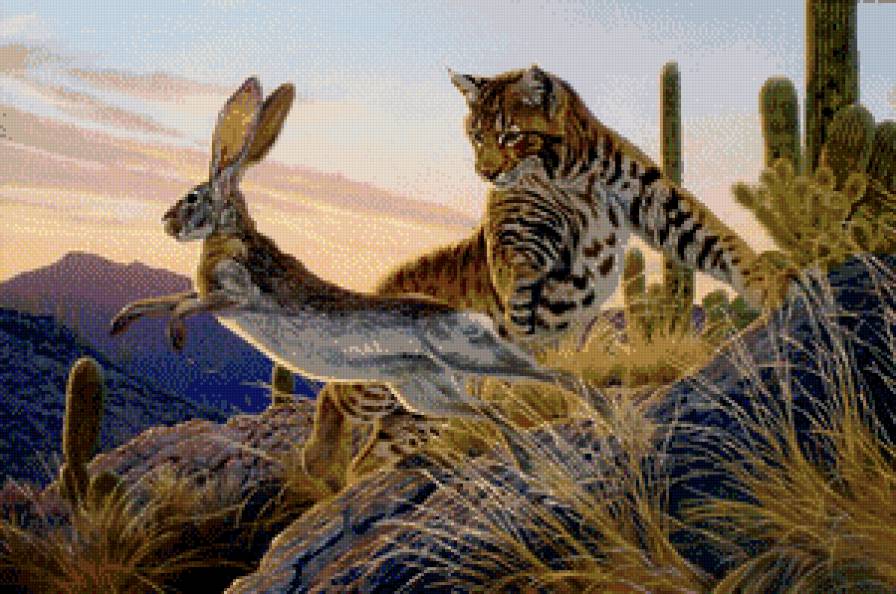охота - кактус, рысь, хищник, природа, заяц, живопись, животное - предпросмотр