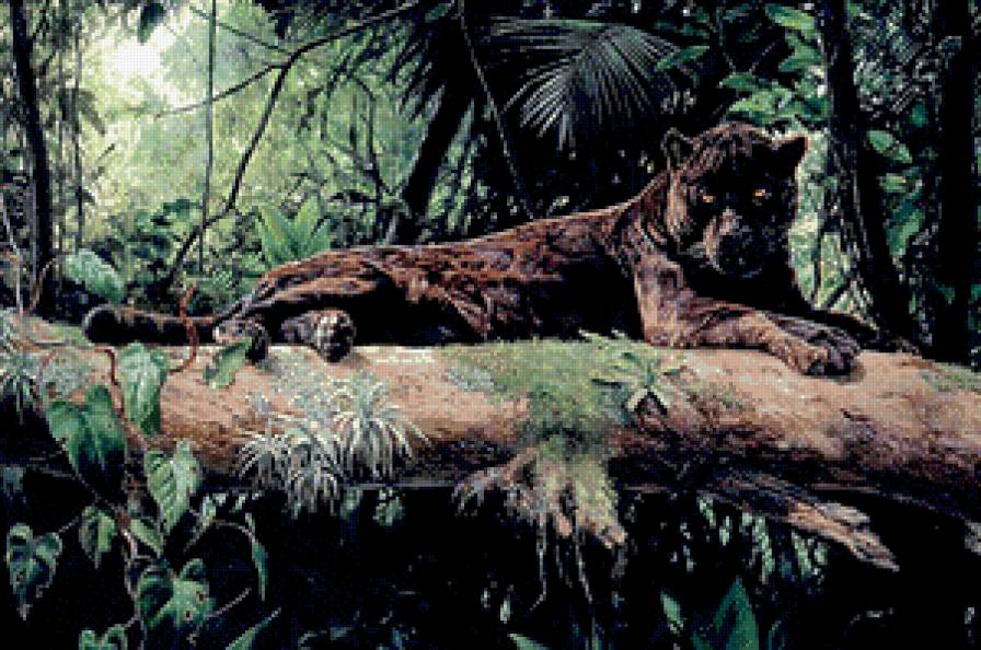 в джунглях - хищник, леопард, природа - предпросмотр