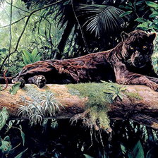 Схема вышивки «в джунглях»