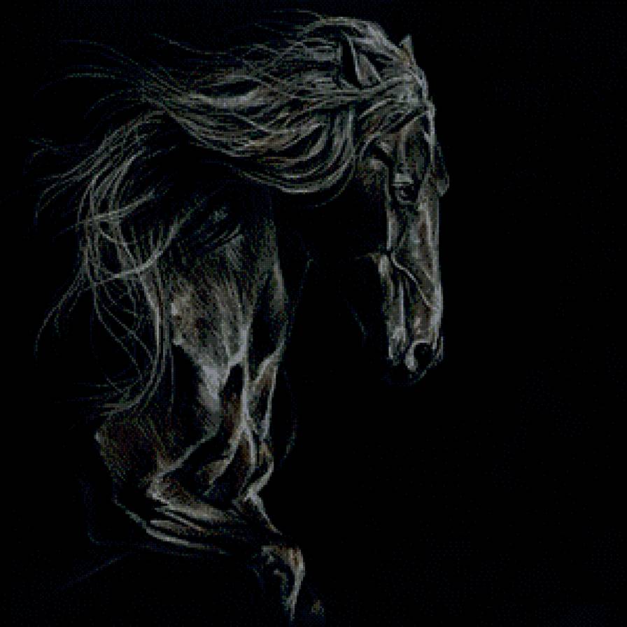 черный красавец - животное, конь, лошадь - предпросмотр