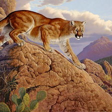 Схема вышивки «хозяйка прерий»