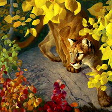 Схема вышивки «пума»