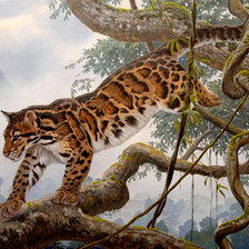 Схема вышивки «в диких лесах...»