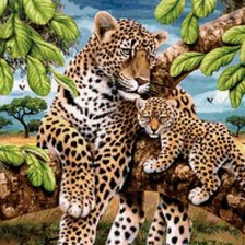 Схема вышивки «леопарды»