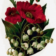 Схема вышивки «маки и ландыши»