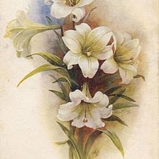 Схема вышивки «№465407»