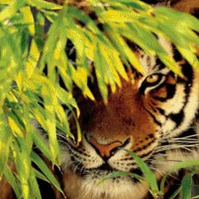 Схема вышивки «№465455»