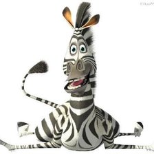 Схема вышивки «зебра»