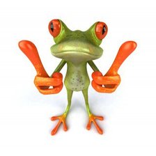 Схема вышивки «лягушка»