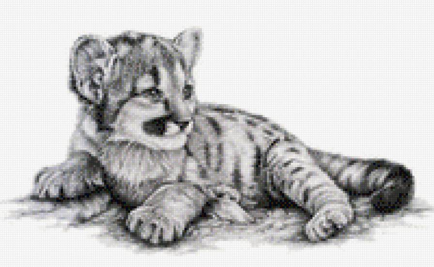 тигренок - предпросмотр