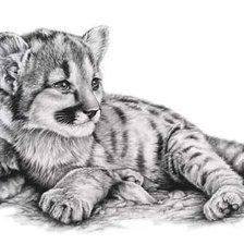 Схема вышивки «тигренок»