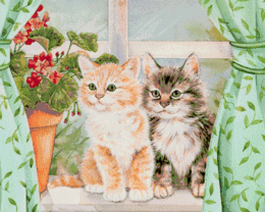 Коты на окошке - коты, животные - предпросмотр
