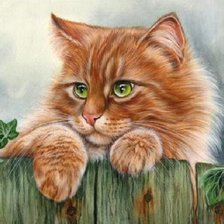 Схема вышивки «Рыжий кот»