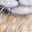 Предпросмотр схемы вышивки «Кошка за окном» (№465681)
