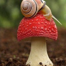 Схема вышивки «Улитка»