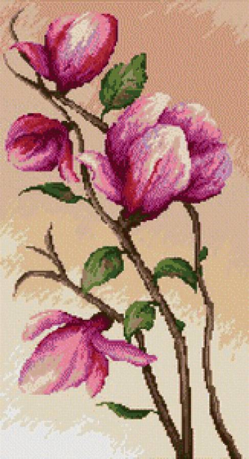 Магнолия - цветы, ветка - предпросмотр