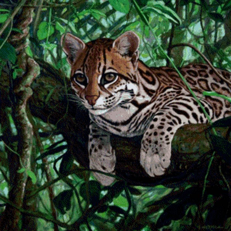 дикая кошка - картина - предпросмотр