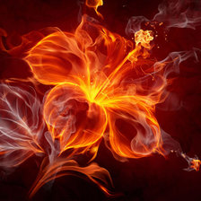 Схема вышивки «Огненный цветок»