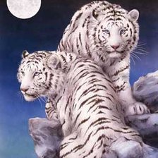 Схема вышивки «№466772»