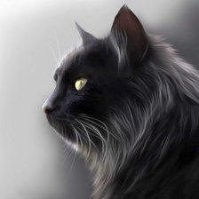 пушистый красавец