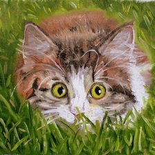 Схема вышивки «кот»