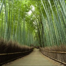 Схема вышивки «т»