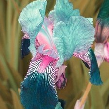 Схема вышивки «№466968»