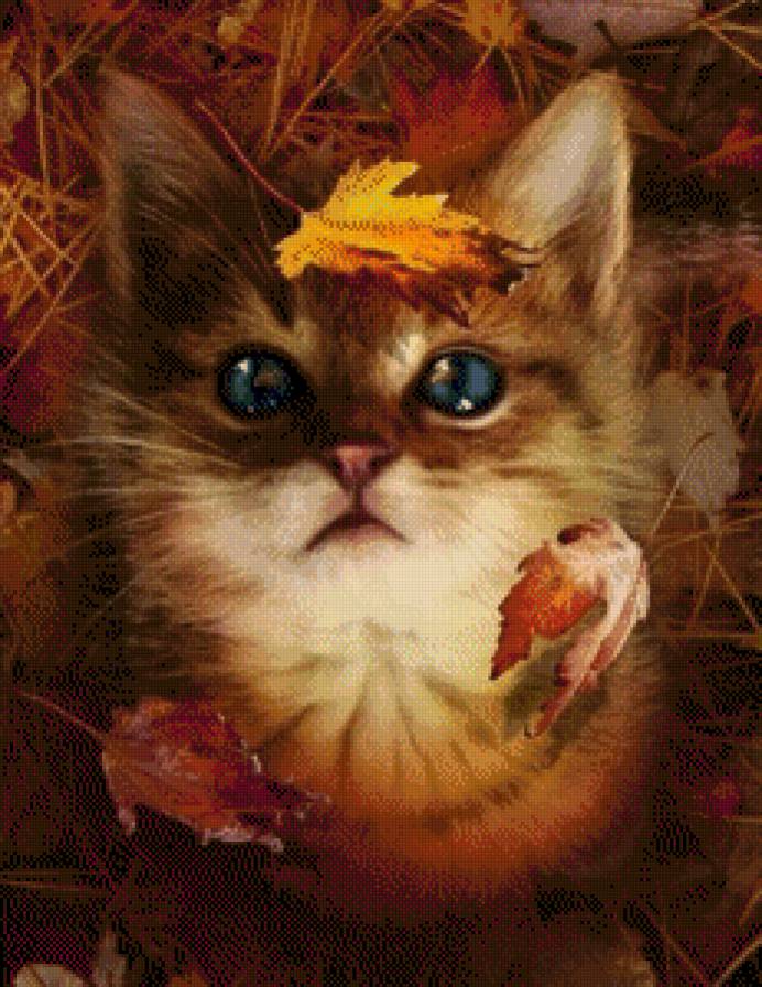 Осенний котенок - кошки, времена года, животные, осень - предпросмотр