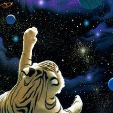 Схема вышивки «тигр»