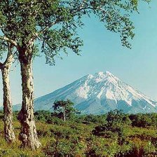 Схема вышивки «Камчатка»