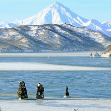 Схема вышивки «п»