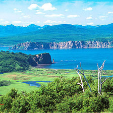 Схема вышивки «№467202»