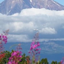 Схема вышивки «Камчатка»