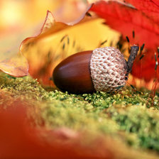 Схема вышивки «Осень»