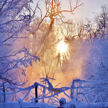 Схема вышивки «№467342»