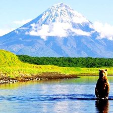 Схема вышивки «№467355»