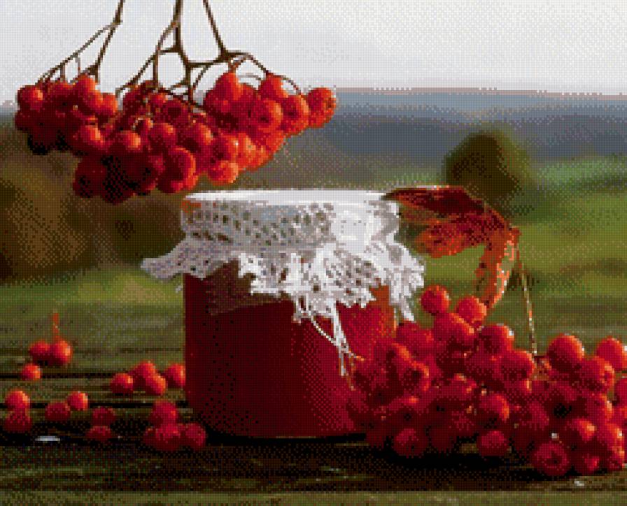 ягоды - малина, природа, ветка, ягоды - предпросмотр