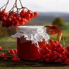 Схема вышивки «ягоды»