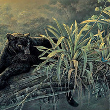 Схема вышивки «хозяйка джунглей»