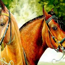 Схема вышивки «кони»