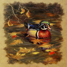 Схема вышивки «утка на пруду»