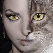 Схема вышивки «Девушка-кошка»