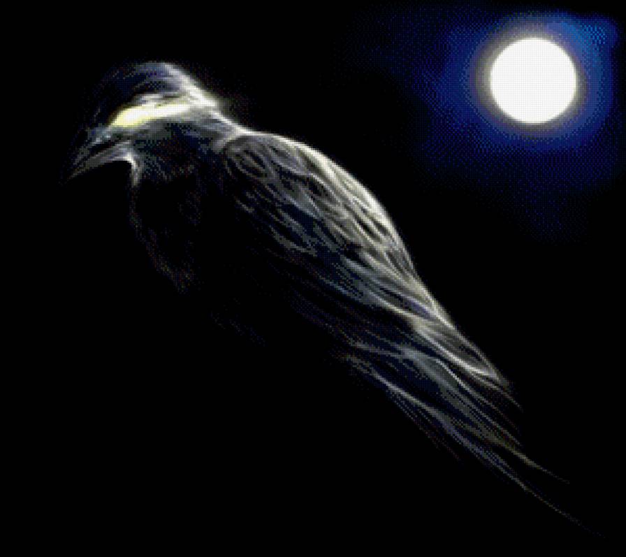 черный ворон - природа, птицы, сказка, луна, фэнтези - предпросмотр