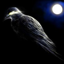 Схема вышивки «черный ворон»